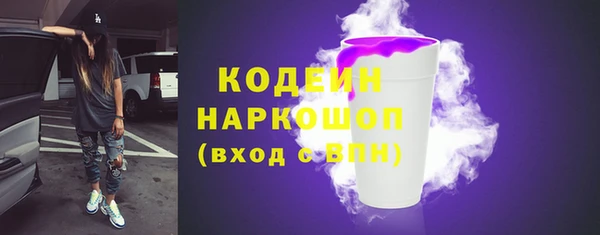 гашик Арсеньев