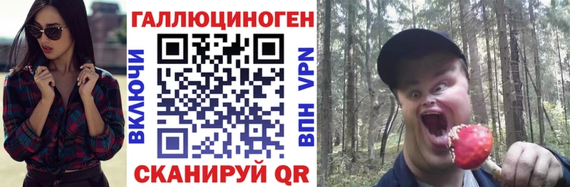 наркотики Богучар Псилоцибиновые грибы Psilocybe